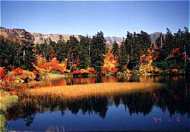 高原温泉付近の紅葉